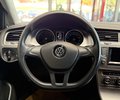 Daumennagel 15 - Volkswagen Golf Variant Golf VII Variant TRDLINE|NAVI|PDC|SHZ