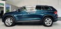 Daumennagel 8 - Skoda Kodiaq Style |Standheizung|LED|Kamera|SHZ|CarPlay|