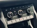 Daumennagel 36 - Skoda Kodiaq Style |Standheizung|LED|Kamera|SHZ|CarPlay|