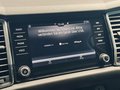 Daumennagel 33 - Skoda Kodiaq Style |Standheizung|LED|Kamera|SHZ|CarPlay|