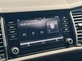 Daumennagel 30 - Skoda Kodiaq Style |Standheizung|LED|Kamera|SHZ|CarPlay|
