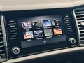 Daumennagel 34 - Skoda Kodiaq Style |Standheizung|LED|Kamera|SHZ|CarPlay|