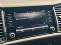 Daumennagel 29 - Skoda Kodiaq Style |Standheizung|LED|Kamera|SHZ|CarPlay|