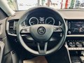 Daumennagel 18 - Skoda Kodiaq Style |Standheizung|LED|Kamera|SHZ|CarPlay|