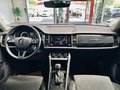 Daumennagel 17 - Skoda Kodiaq Style |Standheizung|LED|Kamera|SHZ|CarPlay|