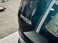 Daumennagel 42 - Skoda Kodiaq Style |Standheizung|LED|Kamera|SHZ|CarPlay|