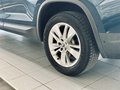 Daumennagel 43 - Skoda Kodiaq Style |Standheizung|LED|Kamera|SHZ|CarPlay|