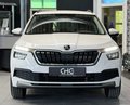 Daumennagel 2 - Skoda Kamiq Ambition Dig.TACHO|NAVI|CARPLAY|EP-HILFE