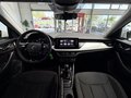 Daumennagel 10 - Skoda Kamiq Ambition Dig.TACHO|NAVI|CARPLAY|EP-HILFE
