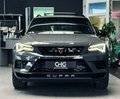 Daumennagel 2 - CUPRA Ateca Limited Edition 4Drive AKRAPOVIC|AHK|VOLL