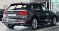 Daumennagel 5 - Audi SQ5 3.0 TFSI quattro 1.HD|AHK|KAMERA|CARBON|NAVI|