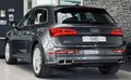 Daumennagel 7 - Audi SQ5 3.0 TFSI quattro 1.HD|AHK|KAMERA|CARBON|NAVI|