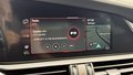 Daumennagel 25 - Alfa Romeo Giulia Quadrifoglio Sparco SCHALE CARBON|ACC|KAMERA|