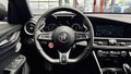 Daumennagel 12 - Alfa Romeo Giulia Quadrifoglio Sparco SCHALE CARBON|ACC|KAMERA|