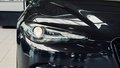 Daumennagel 19 - Alfa Romeo Giulia Quadrifoglio Sparco SCHALE CARBON|ACC|KAMERA|