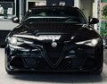 Daumennagel 2 - Alfa Romeo Giulia Quadrifoglio Sparco SCHALE CARBON|ACC|KAMERA|
