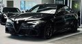 Daumennagel 3 - Alfa Romeo Giulia Quadrifoglio Sparco SCHALE CARBON|ACC|KAMERA|