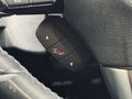 Daumennagel 21 - Subaru Levorg Comfort 4x4 |Kamera|Schiebedach|Automatik|