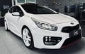 Daumennagel 10 - Kia ProCeed GT-Track|SPUR|KAMERA|TEMP.|MFL