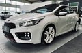 Daumennagel 9 - Kia ProCeed GT-Track|SPUR|KAMERA|TEMP.|MFL