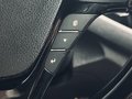 Daumennagel 27 - Kia ProCeed GT-Track|SPUR|KAMERA|TEMP.|MFL