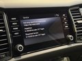 Daumennagel 25 - Skoda Kodiaq Style 4x4 1.HD|PANO|ACC|AHK|KAMERA|NAVI|SHZ|