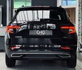 Daumennagel 6 - Skoda Karoq Sportline 4x4 1.HD|CARPLAY|VIRTUAL|KESSY|PDC