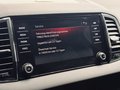 Daumennagel 27 - Skoda Karoq Sportline 4x4 1.HD|CARPLAY|VIRTUAL|KESSY|PDC