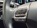 Daumennagel 19 - Hyundai IONIQ 1.6 Hybrid |ACC|Spur|SHZ|Kamera|Navi|