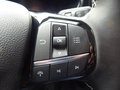 Daumennagel 15 - Ford Kuga Plug-In Hybrid Active X