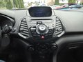 Daumennagel 17 - Ford EcoSport Titanium