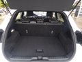 Daumennagel 9 - Ford Puma ST-Line X aus erster Hand