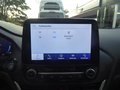 Daumennagel 19 - Ford Puma ST-Line X aus erster Hand