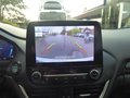 Daumennagel 20 - Ford Puma ST-Line X aus erster Hand