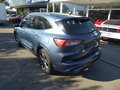 Daumennagel 5 - Ford Kuga Hybrid ST-Line aus 1. Hand