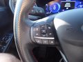 Daumennagel 13 - Ford Kuga Hybrid ST-Line aus 1. Hand