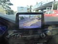 Daumennagel 21 - Ford Kuga Hybrid ST-Line aus 1. Hand