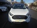 Daumennagel 2 - Ford EcoSport ST-Line