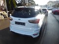 Daumennagel 4 - Ford EcoSport ST-Line