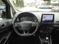 Daumennagel 9 - Ford EcoSport ST-Line