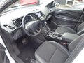 Daumennagel 5 - Ford Kuga Titanium aus 1. Hand