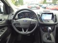 Daumennagel 8 - Ford Kuga Titanium aus 1. Hand