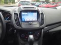 Daumennagel 14 - Ford Kuga Titanium aus 1. Hand