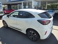 Daumennagel 5 - Ford Puma ST-Line