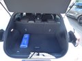 Daumennagel 9 - Ford Puma ST-Line