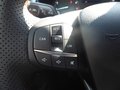 Daumennagel 12 - Ford Puma ST-Line