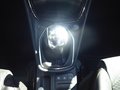 Daumennagel 18 - Ford Puma ST-Line