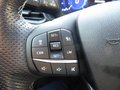 Daumennagel 13 - Ford Puma ST-Line Vignale