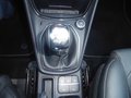 Daumennagel 17 - Ford Puma ST-Line Vignale