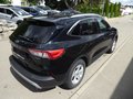Daumennagel 3 - Ford Kuga Titanium aus 1. Hand